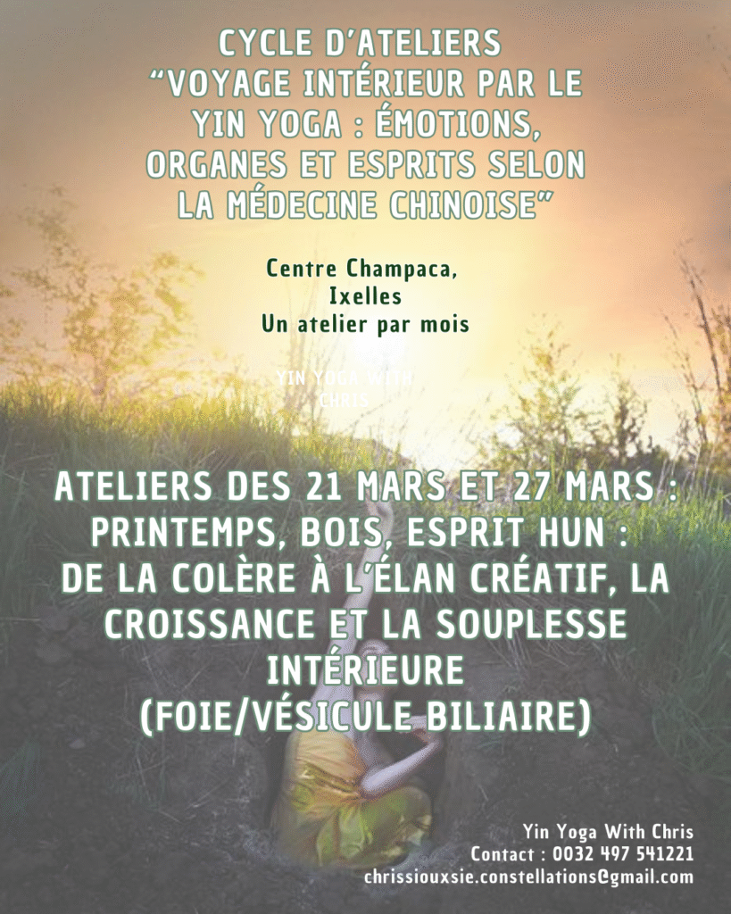 Illustration de l'atelier de yin des 21 et 27 mars 2026.